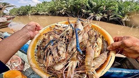 Bất Ngờ Trúng Ổ Tôm Càng| Nghe Tôm Tiếng Tôm Búng Là Thấy Vui Trong Lòng|| TCNTV #603