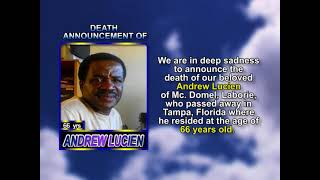 Andrew Lucien short