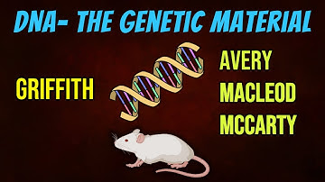 DNA - the genetic material || Griffith || Avery, McLeod, McCarty ||