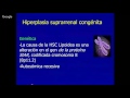 Hiperplasia suprarrenal congénita: Fisiopatología, diagnóstico y tratamiento