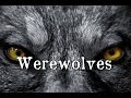 Werewolf Mythology Quiz
