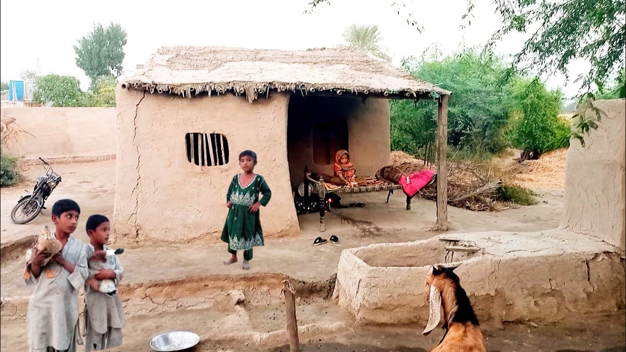 Pakistan Rural Side Sindh Village Life Vlog Video 2025 Pakistan Rural Life Vlog Video - YouTube