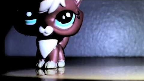 Safe & Sound lps music video :)