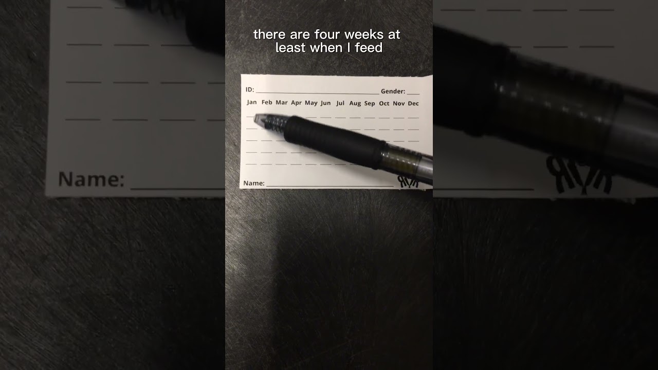 How I Keep Track of When My Snakes Eat 