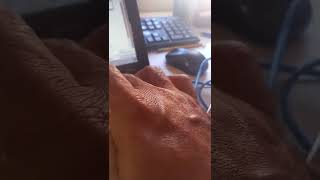 How to Setup Network Print Server (Parallel or USB) Global Ink Jamaica ...Chinmook