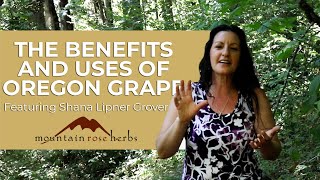 The Benefits and Uses of Oregon Grape | Featuring Shana Lipner Grover