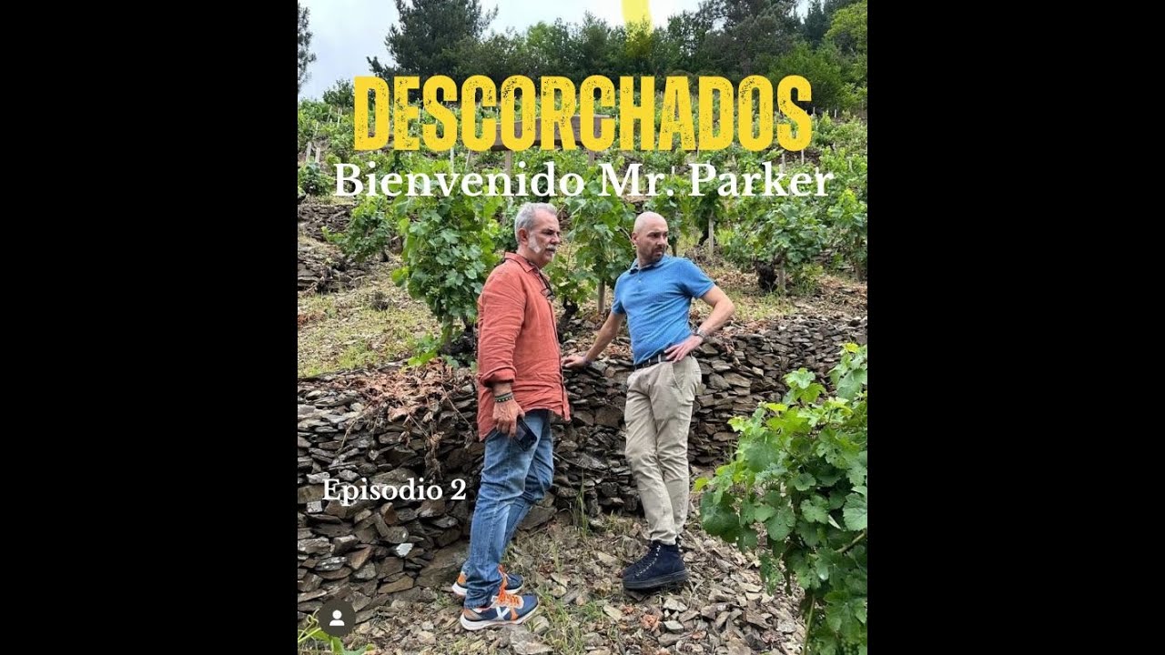 Bienvenido Mr. Parker 1x01 Descorchados Podcast