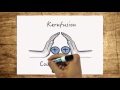 Quiz über Kernspaltung und Kernfusion