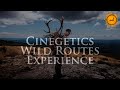 𝗕𝗘𝗥𝗥𝗘𝗔 del ciervo de montaña💥Cinegetics Wild Routes Experience