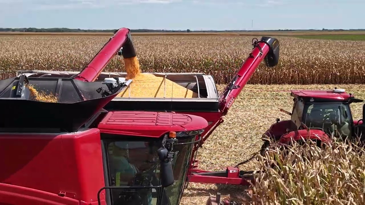 Case International 7260 Harvest 2025