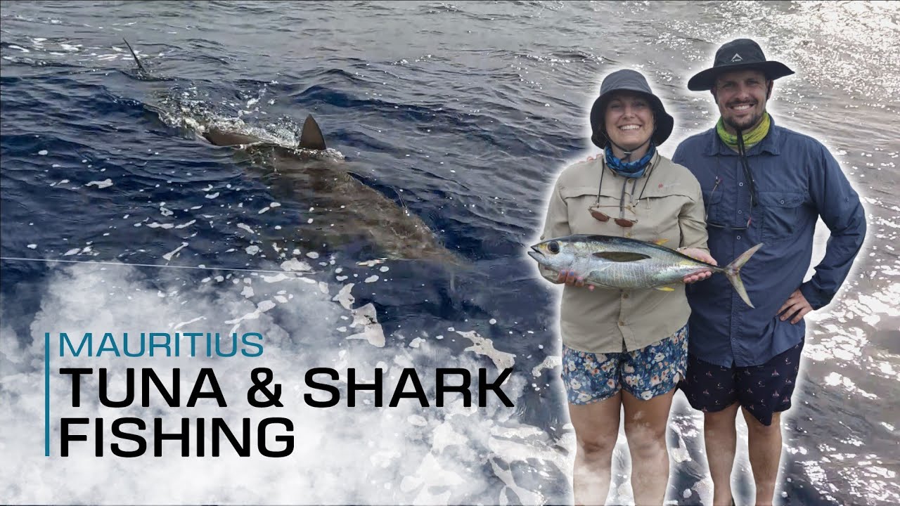 Tuna and Shark fishing Mauritius!!! (With Island Fishing Mauritius)