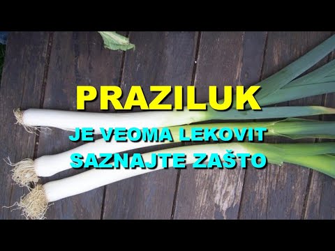 PRAZILUK Je VEOMA LEKOVIT - SAZNAJTE ZAŠTO