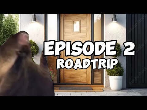 CAT MEMES: FAMILY ROADTRIP COMPILATION PT.2