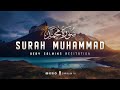 Surah muhammad    calm your heart with beautiful recitation  zikrullah tv