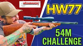 HW77 Spring Powered Air Rifle vs 50 meter Range | How good is it