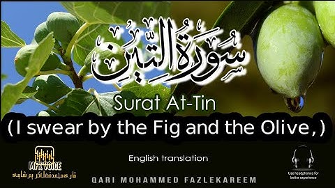 Surat At-Tin (The Fig)  سورة التين | Suratut teen  | surah at tin with English translation