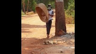 Big Handmade Basket box Prank with Dog | 🤣Funny Dog 🐕 Videos