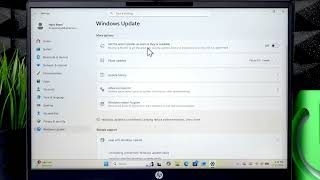 HP Pavilion 16 - 如何更新 Windows