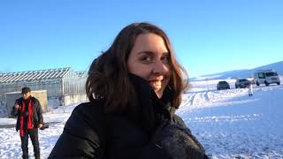 our last day in Iceland by ElmsGlue 55 views 3 years ago 10 minutes, 36 seconds