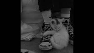 Olmuyor Birtanem  Rafet El Roman gutar Cover By Gidosh