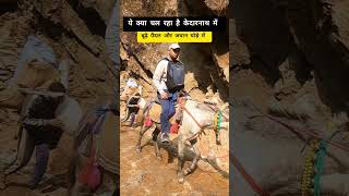 केदारनाथ में ये सब क्या देखने को मिल रहा है, #kedarnath #chardham #badrinath