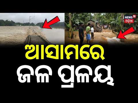 ଆସାମରେ ଜଳ ପ୍ରଳୟ! Assam Flood Crisis | Security Forces Massive Rescue Operations | Heavy Rain Alert