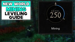 NEW WORLD MINING LEVELING GUIDE