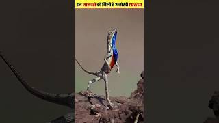 🤔😱Animals have Skill #shorts #youtubeshorts #animals #islam #sarmadshahid