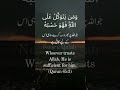 Allah Par Bharosa 🤍 | Tawakkul Reminder