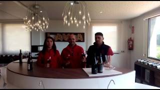 Brindis En Bodegas Lavia Por El Día Movimiento D.o.