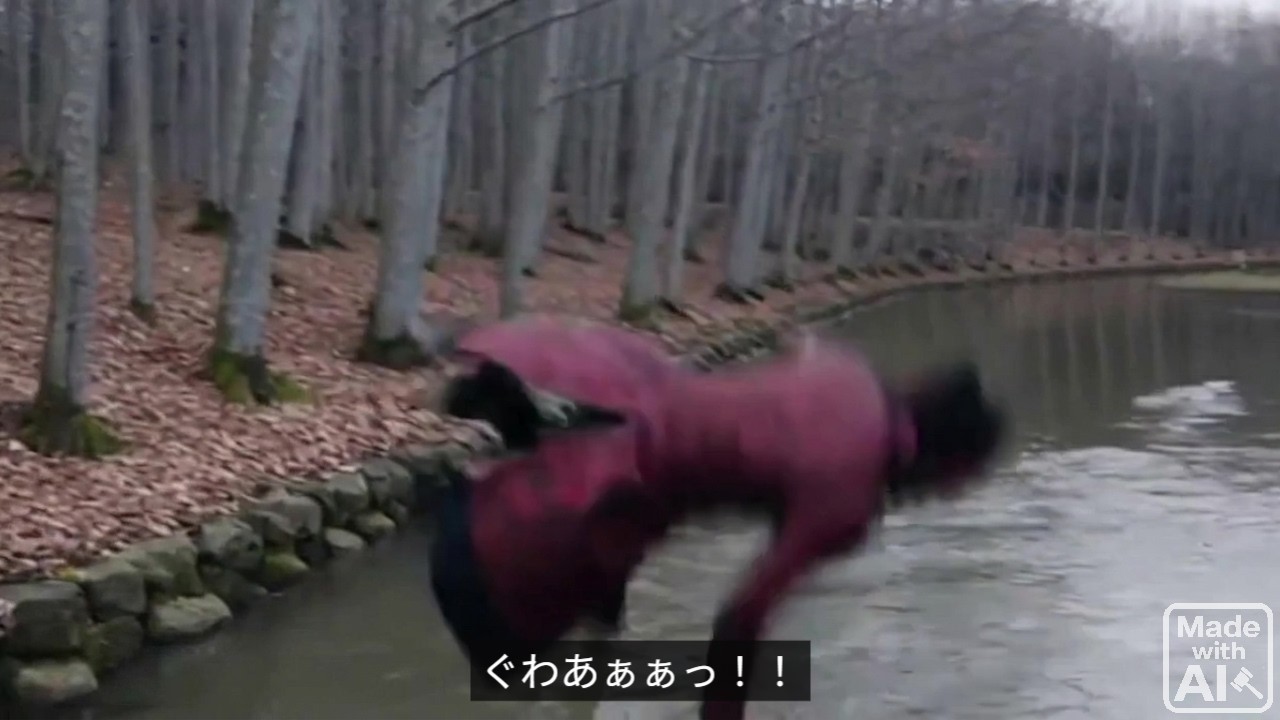 エンマvsカウンセル