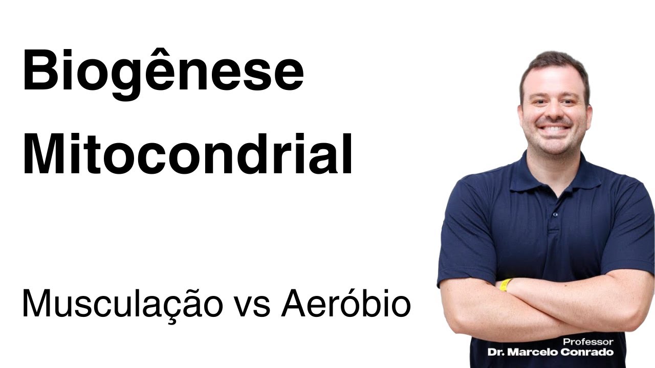 Biogênese Mitocondrial: Musculação vs Aeróbio