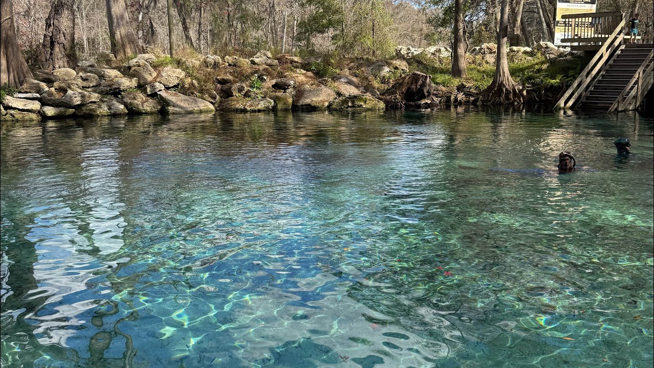 Mermaid Meetup at Ginnie Springs 🧜‍♀️ | Florida Springs Vlog