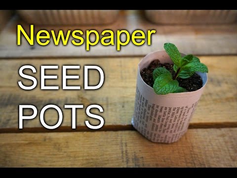 วีดีโอ: Newspaper Seed Pots – วิธีทำ Seed Starter Pots จากหนังสือพิมพ์