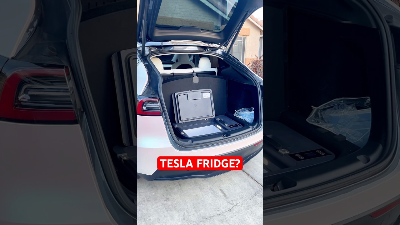 This Tesla Fridge is an ELITE Accessory