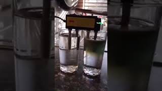 Distilled Water vs Tap Water Tap Water V S Distilled Water Experiment 1