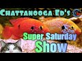 Chattanooga eds super saturday show