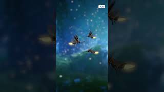 The Magic of Fireflies: Why Do They Glow? | Letstute