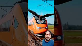 a hero eagle saves train