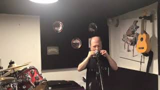 This Is Not A Kids Song. Epic Harmonica Blues Solo
