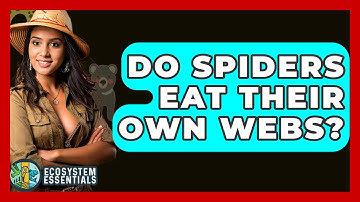 Do Spiders Eat Their Own Webs? - Ecosystem Essentials