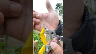 Aiming point Slingshot Butterfly #shorts