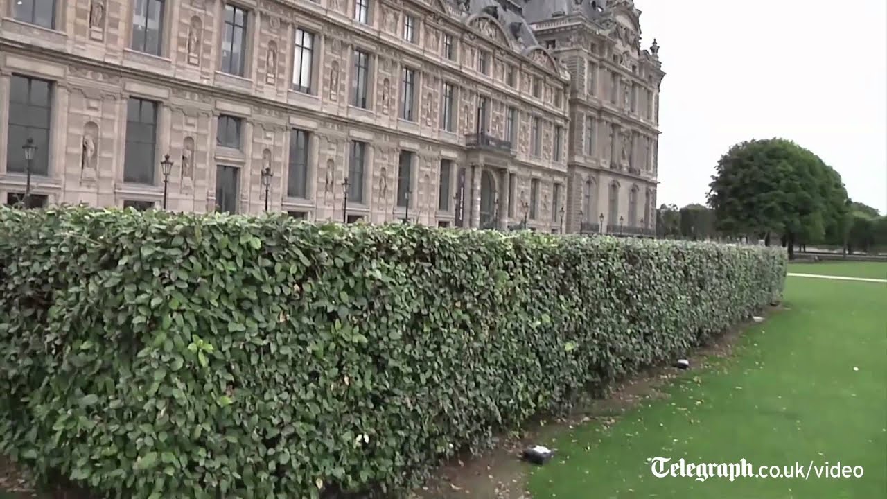 Louvre Rats Rats invade Louvre museum gardens - YouTube