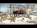 Blue bird  secret mystery cave