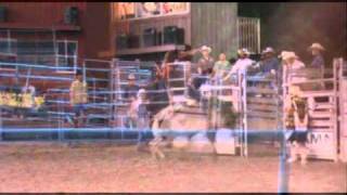 buck buck buck song by sunny ledfurd