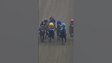 The 2025 Belmont Stakes were electric ⚡️🏇 #belmontstakes #horseracing #horse #racing