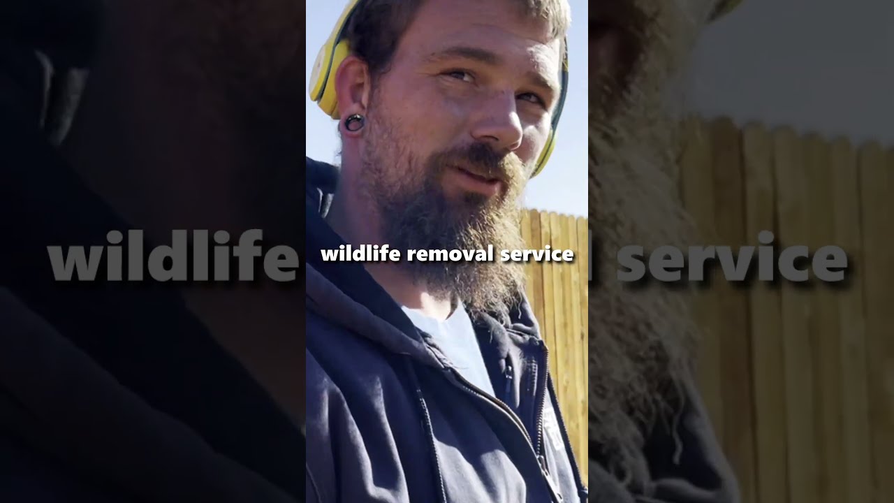 Armadillo Damage? 🤔