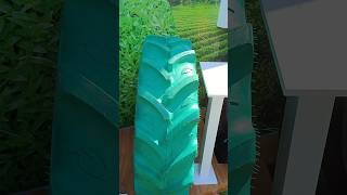 आज से पहले नहीं देखा होगा हरे रंग का टायर | Tractor video | Tyre | short video