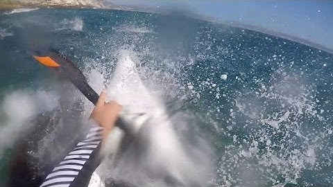 Protective Mother Seal Attacks Kayak