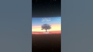 سورة الزمر|22|القارئ:#محمد_اللحيدان #قران #quran #قران_كريم #تلاوة #تلاوة_هادئة #آية #تلاوة_خاشعة